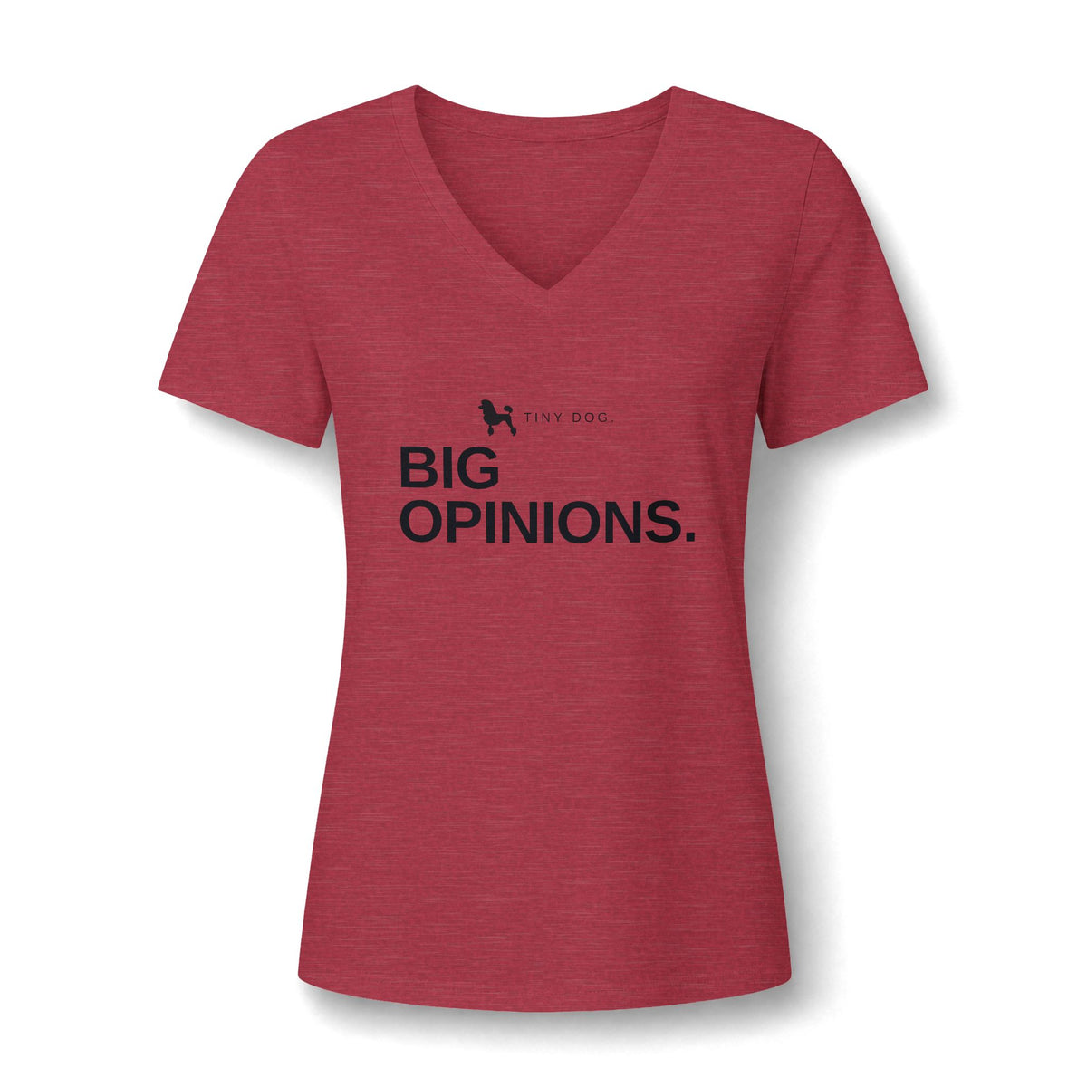Women's Relaxed Heather CVC V-Neck Tee - product photo 26 of 28