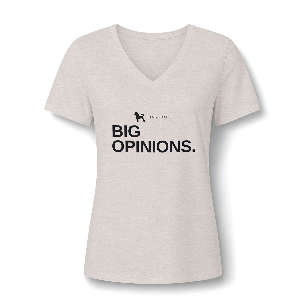 Women's Relaxed Heather CVC V-Neck Tee - product photo 14 of 28