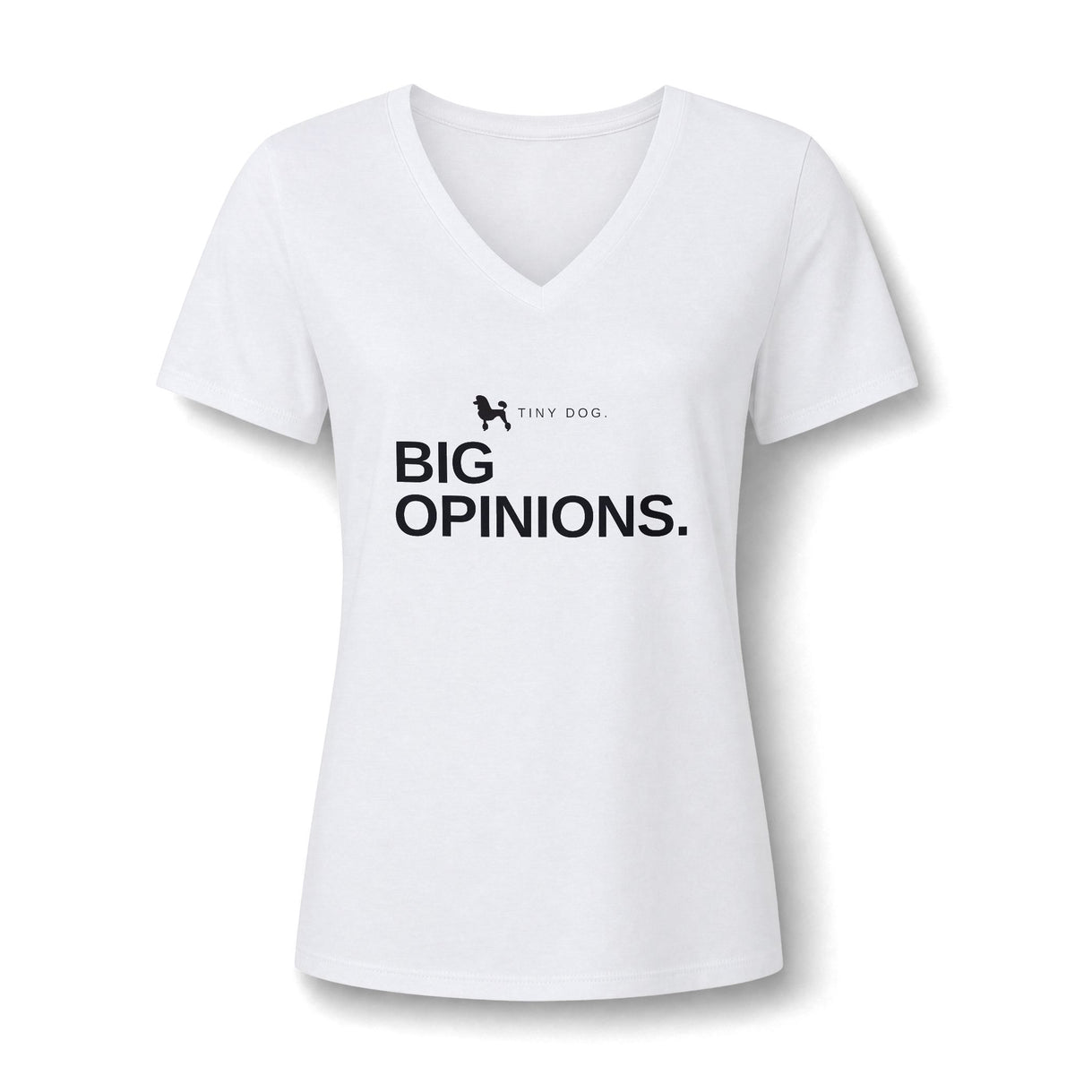 Women's Relaxed Heather CVC V-Neck Tee - product photo 9 of 28
